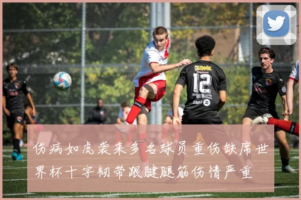 伤病如虎袭来多名球员重伤缺席世界杯十字韧带跟腱腿筋伤情严重
